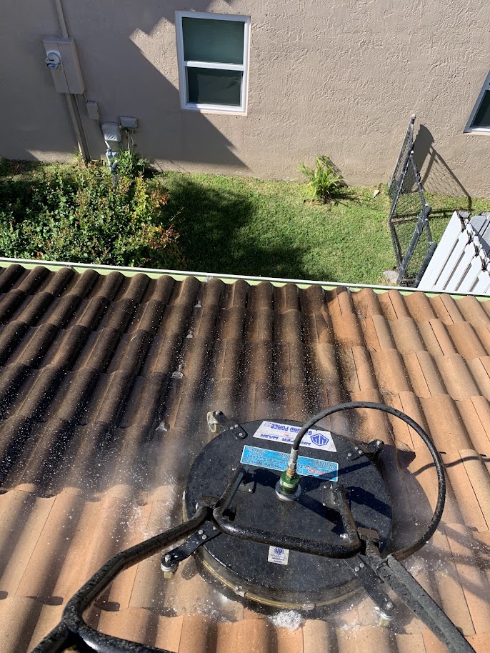 Residential roof cleaning